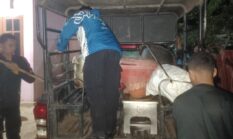Seorang Mahasiswa di Merauke Nekat Memproduksi Milo Jenis Sopi