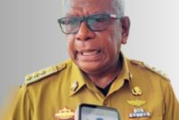 Bupati Mimika, Johannes Rettob