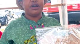 Mince Pakage, Owner Noken Agiya