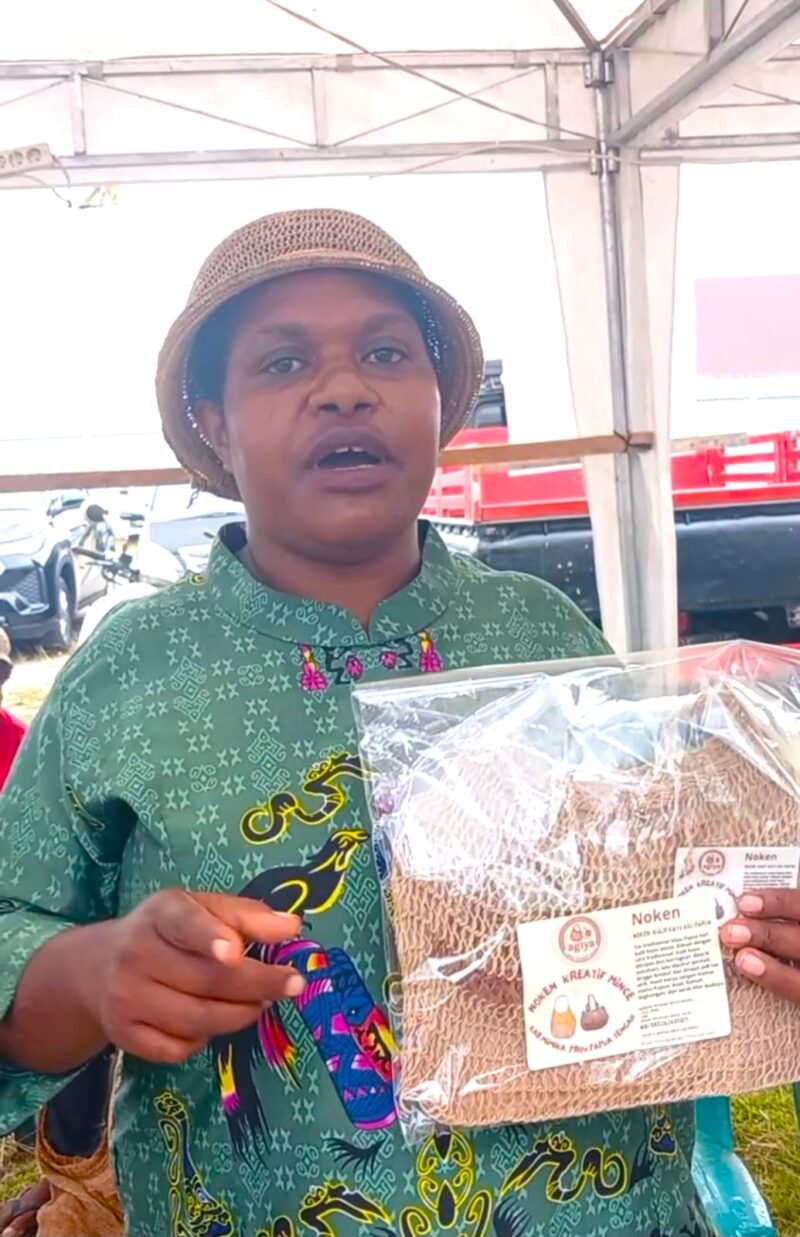 Mince Pakage, Owner Noken Agiya