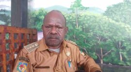 Yeteni Tabuni, Kadistrik Hoya